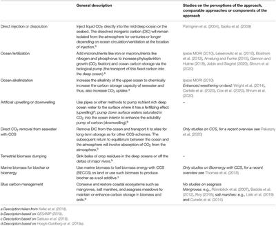 Public Perceptions of Ocean-Based Carbon Dioxide Removal: The Nature-Engineering Divide?